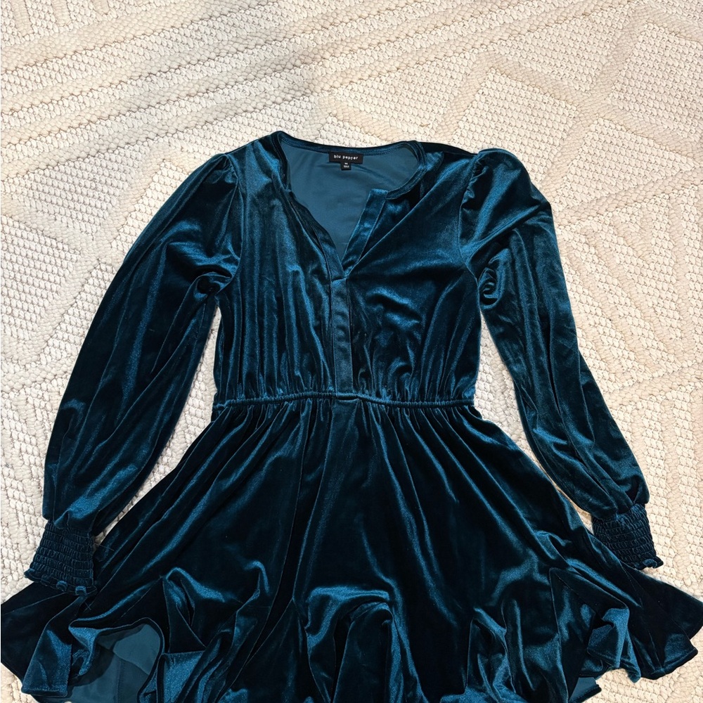 Blu Pepper Teal Velvet Top